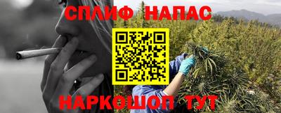 прущие грибы Кунгур