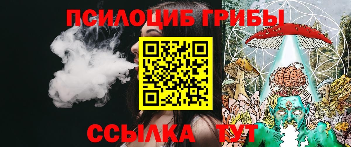 Псилоцибиновые грибы Cubensis Екатеринбург