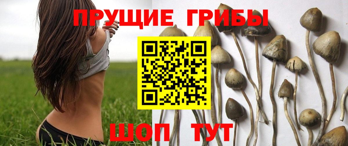 где купить наркоту  Галлюциногенные грибы Psilocybine cubensis  Галлюциногенные грибы ЛСД  Вход с VPN  Екатеринбург 